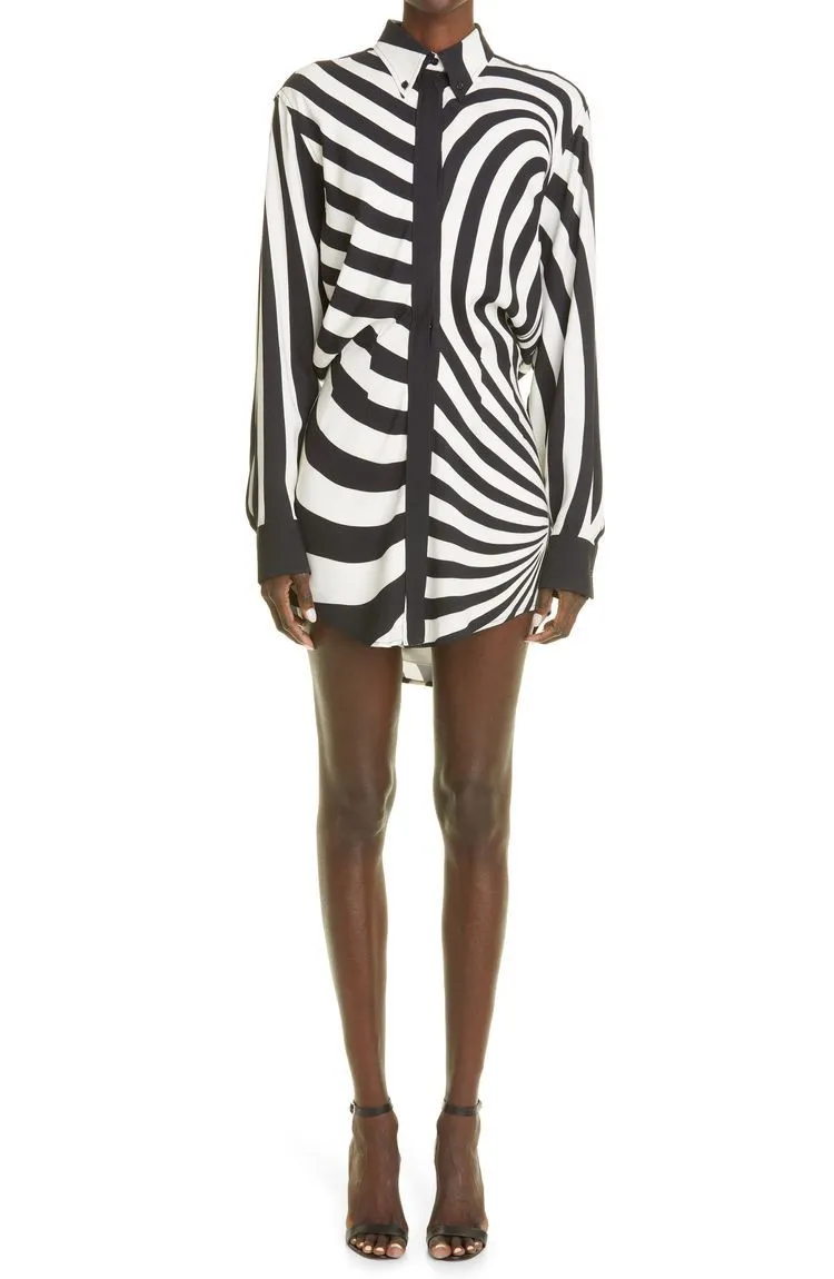 Raven Shirt Dress