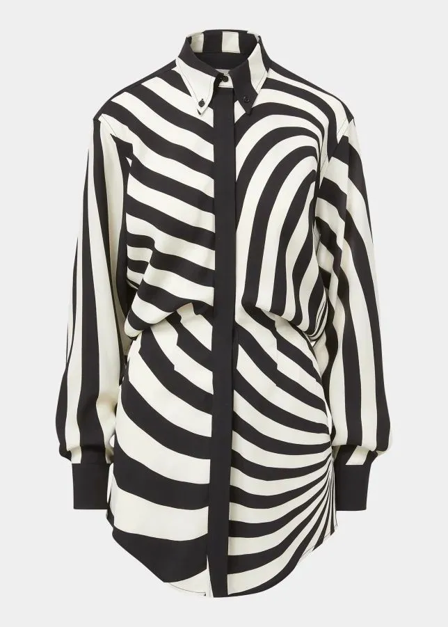 Raven Shirt Dress